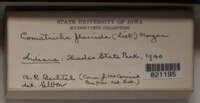 Image Associated With the Occurence
